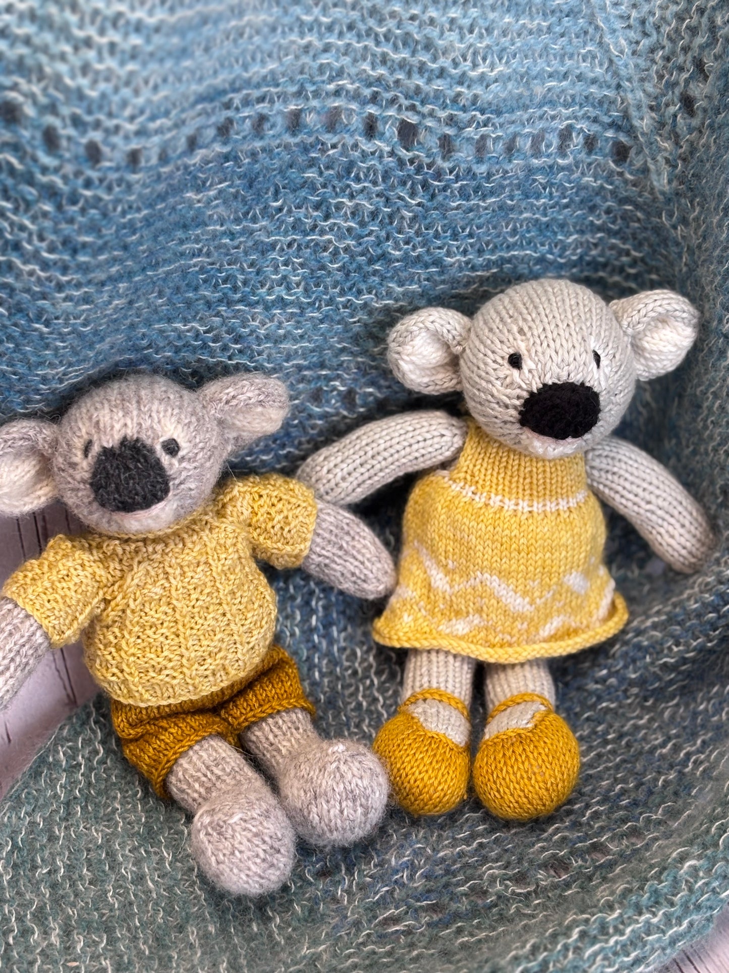 Little Cotton Rabbits Koala in a Jumper & Shorts Kit