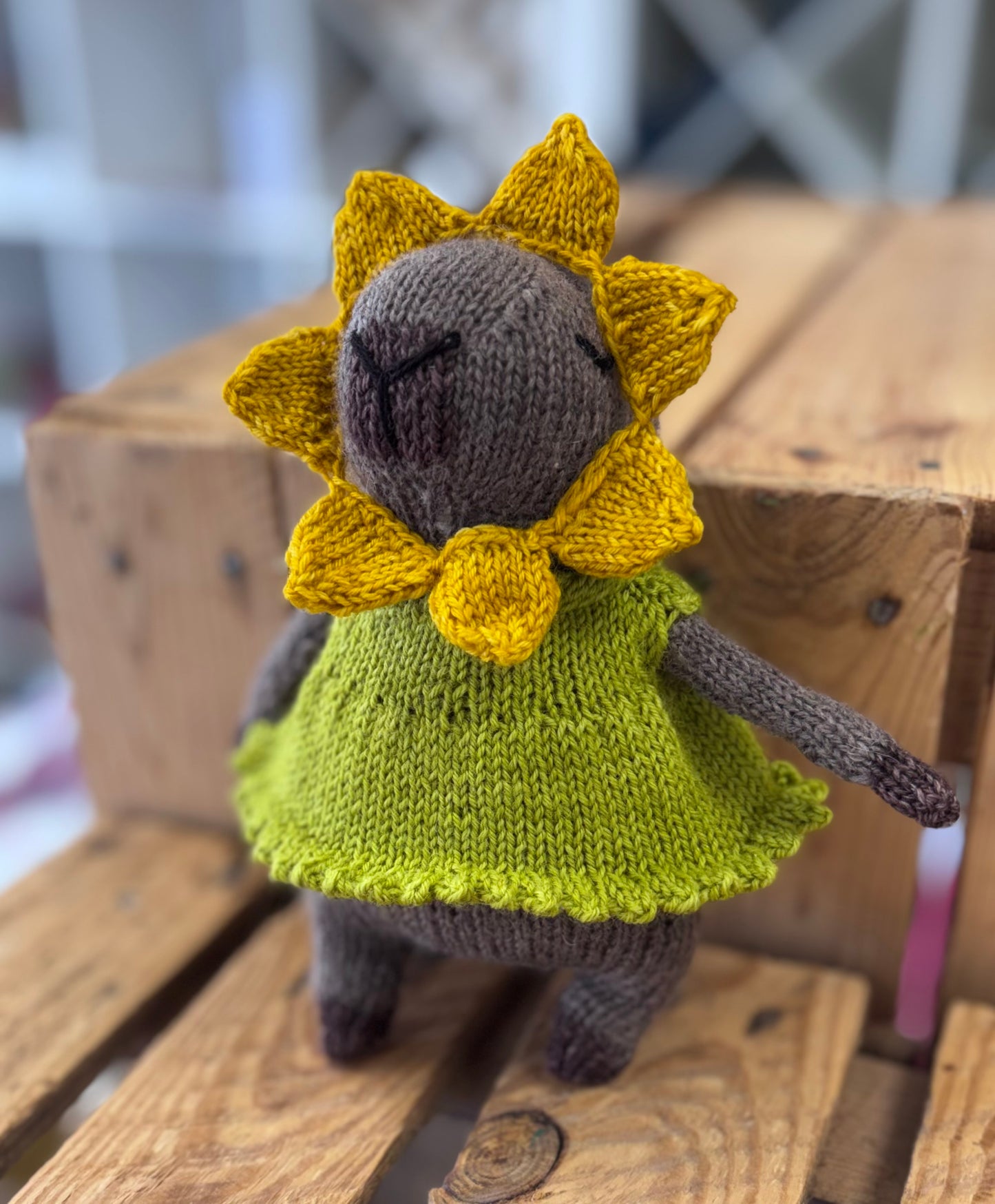 ***NEW*** Happy Flower Capybara knitting kit