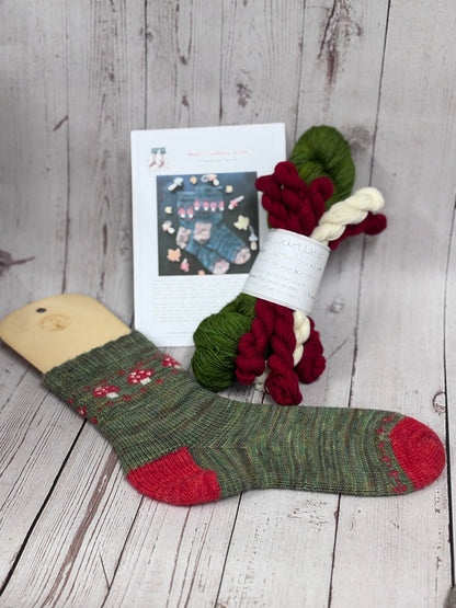 Magic Toadstool Sock Kit