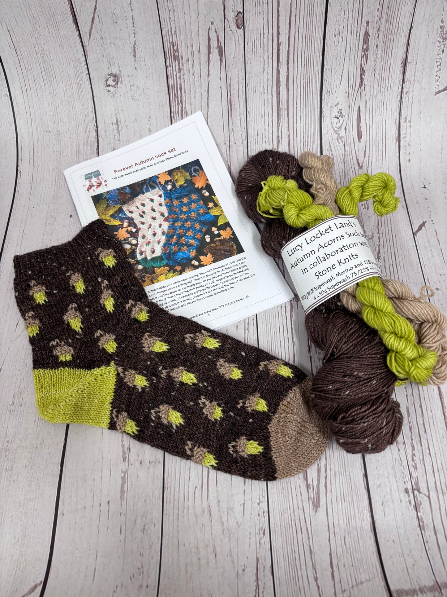 Autumn Acorns Sock Kit