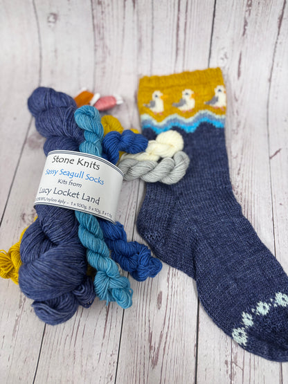 Sassy Seagulls Socks Yarn set
