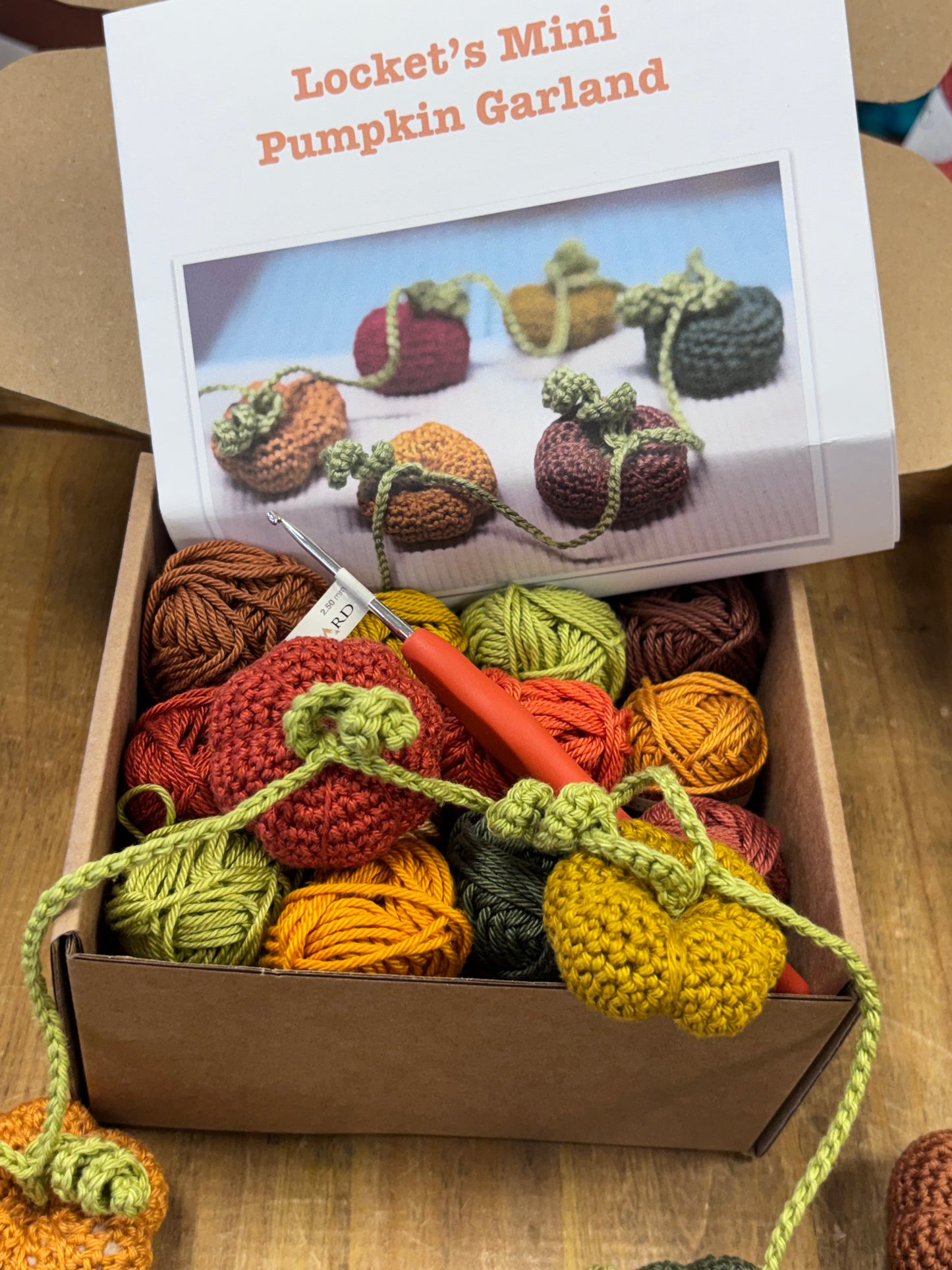 Locket’s Crochet Mini Pumpkin Garland
