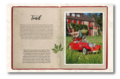 The Wind in the Willows Felt Friends by Cynthia Treen