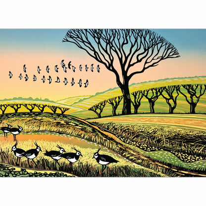 Green Pebble Greetings Cards