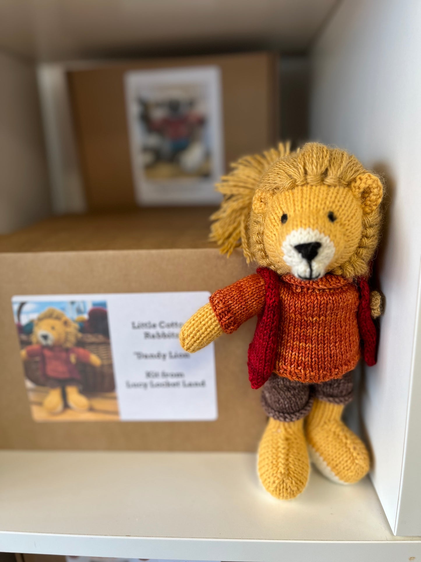 Dapper Dan the Dandy Lion knitting kit