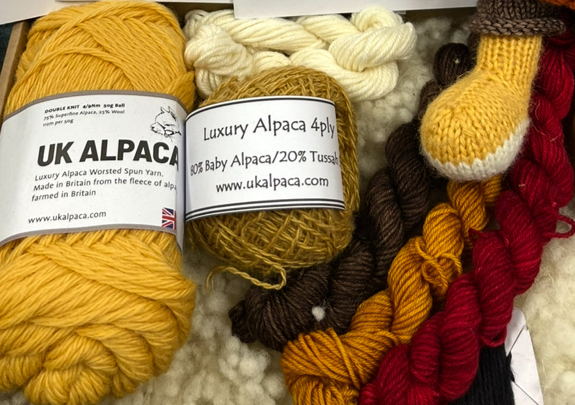 Dapper Dan the Dandy Lion knitting kit