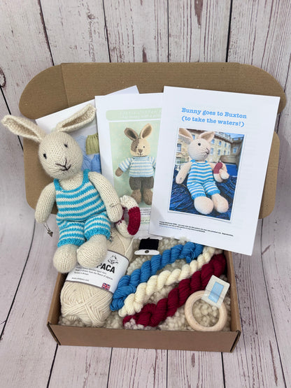 Little Cotton Rabbits Kit - Special Bunny Goes to Buxton Spa