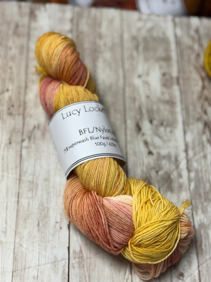 Locket's Hand Dyed 4ply BFL/Nylon Sock Yarn
