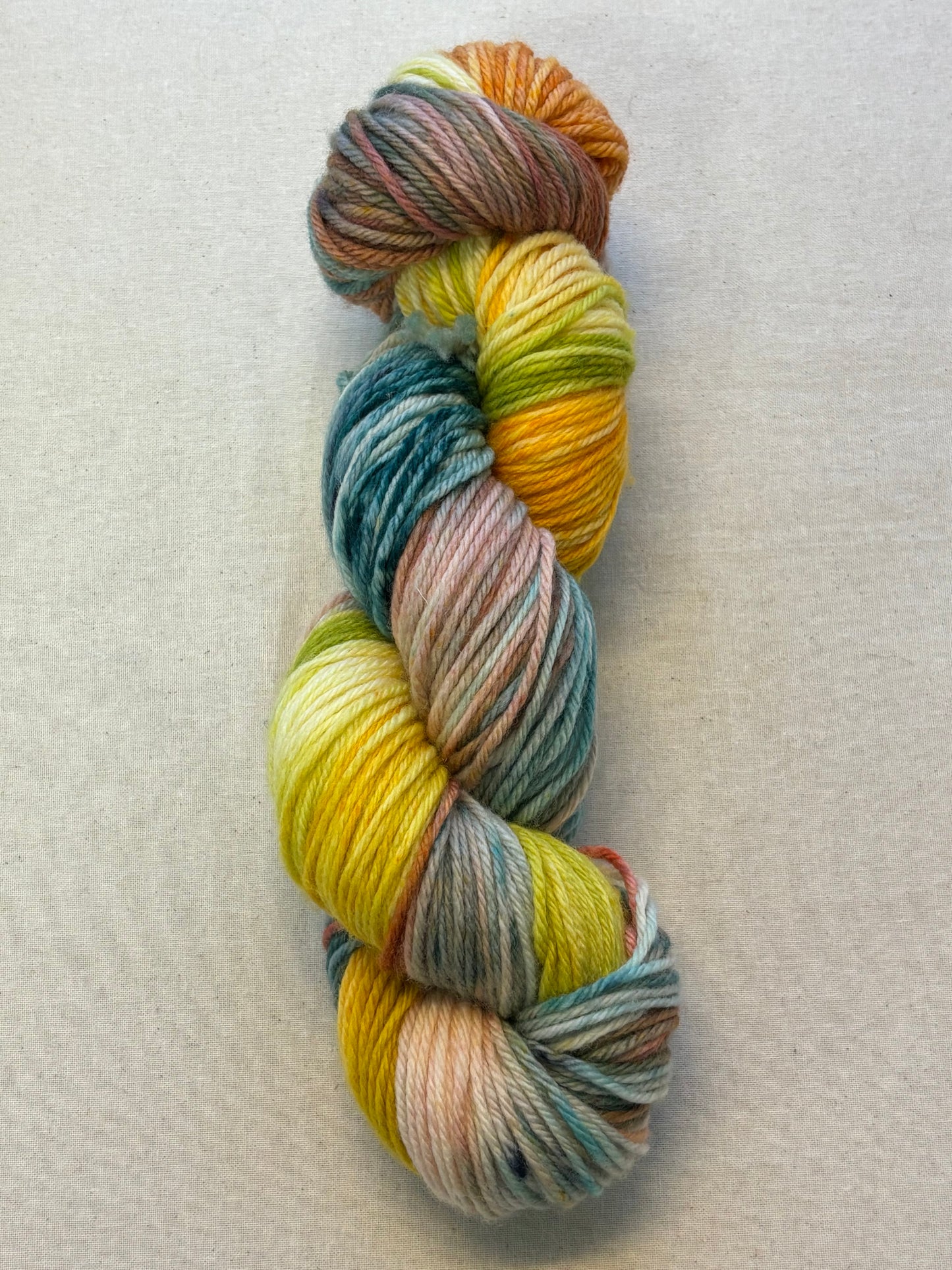 Locket's Bookshelf Collection Hand Dyed DK 100% Merino