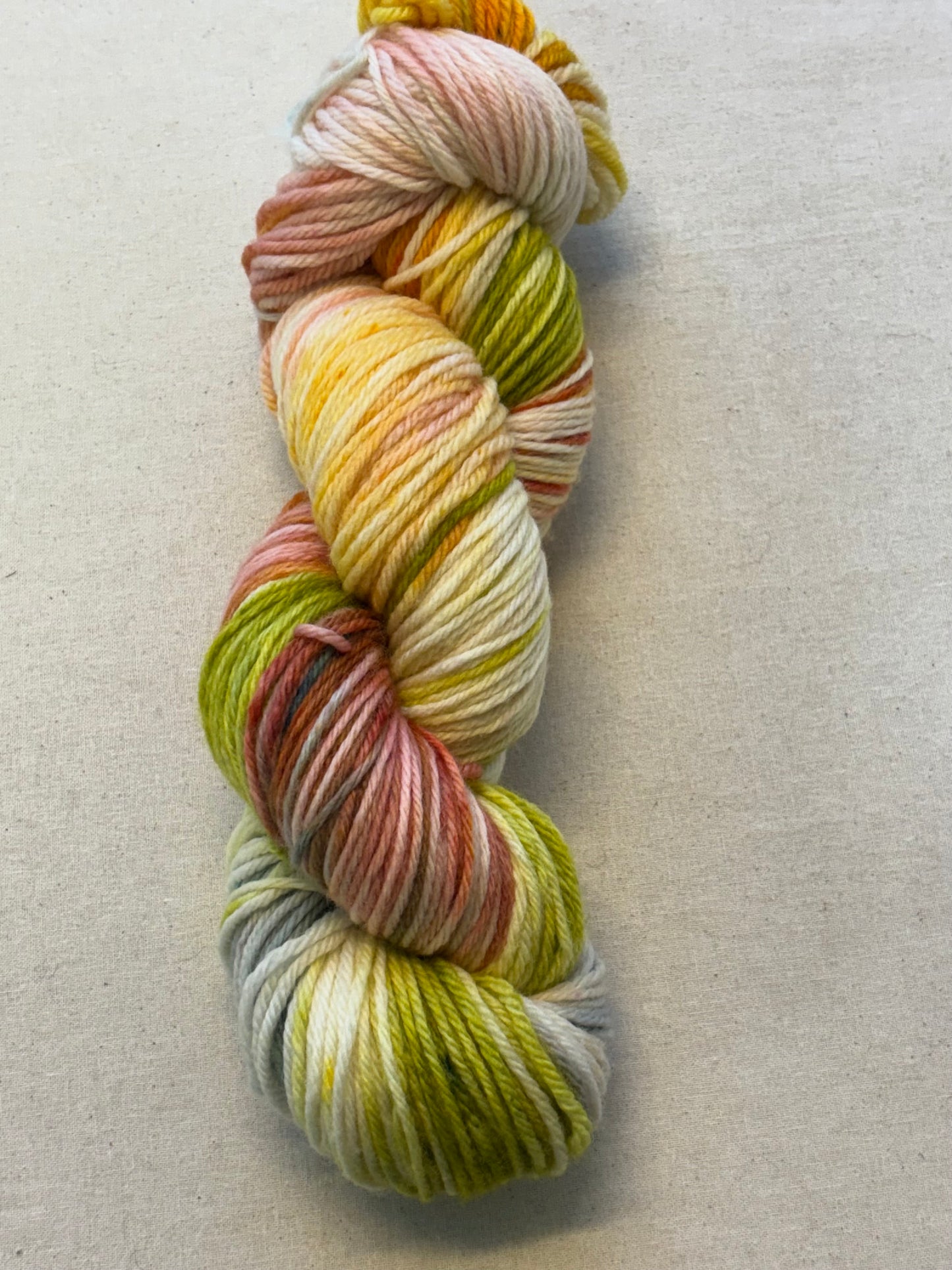 Locket's Bookshelf Collection Hand Dyed DK 100% Merino