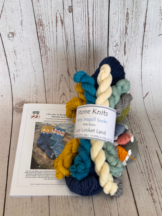 Sassy Seagulls Socks Yarn set