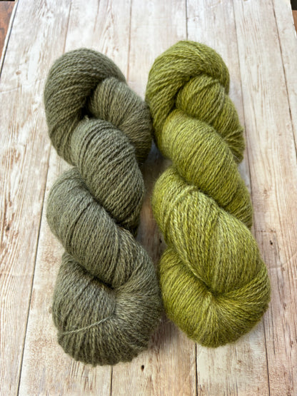 Scrumptious BFL/Masham 4ply