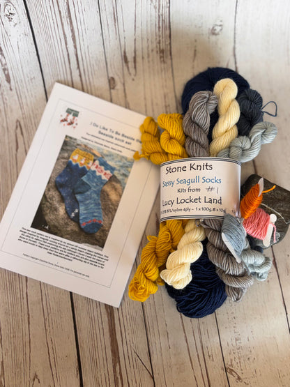 Sassy Seagulls Socks Yarn set