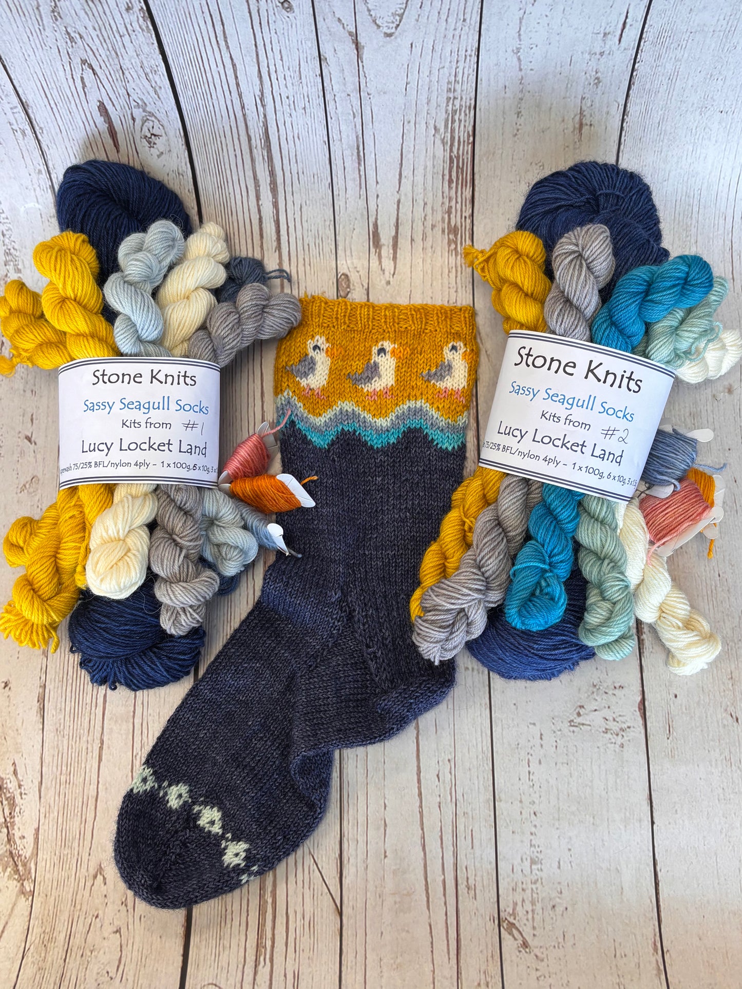 Sassy Seagulls Socks Yarn set