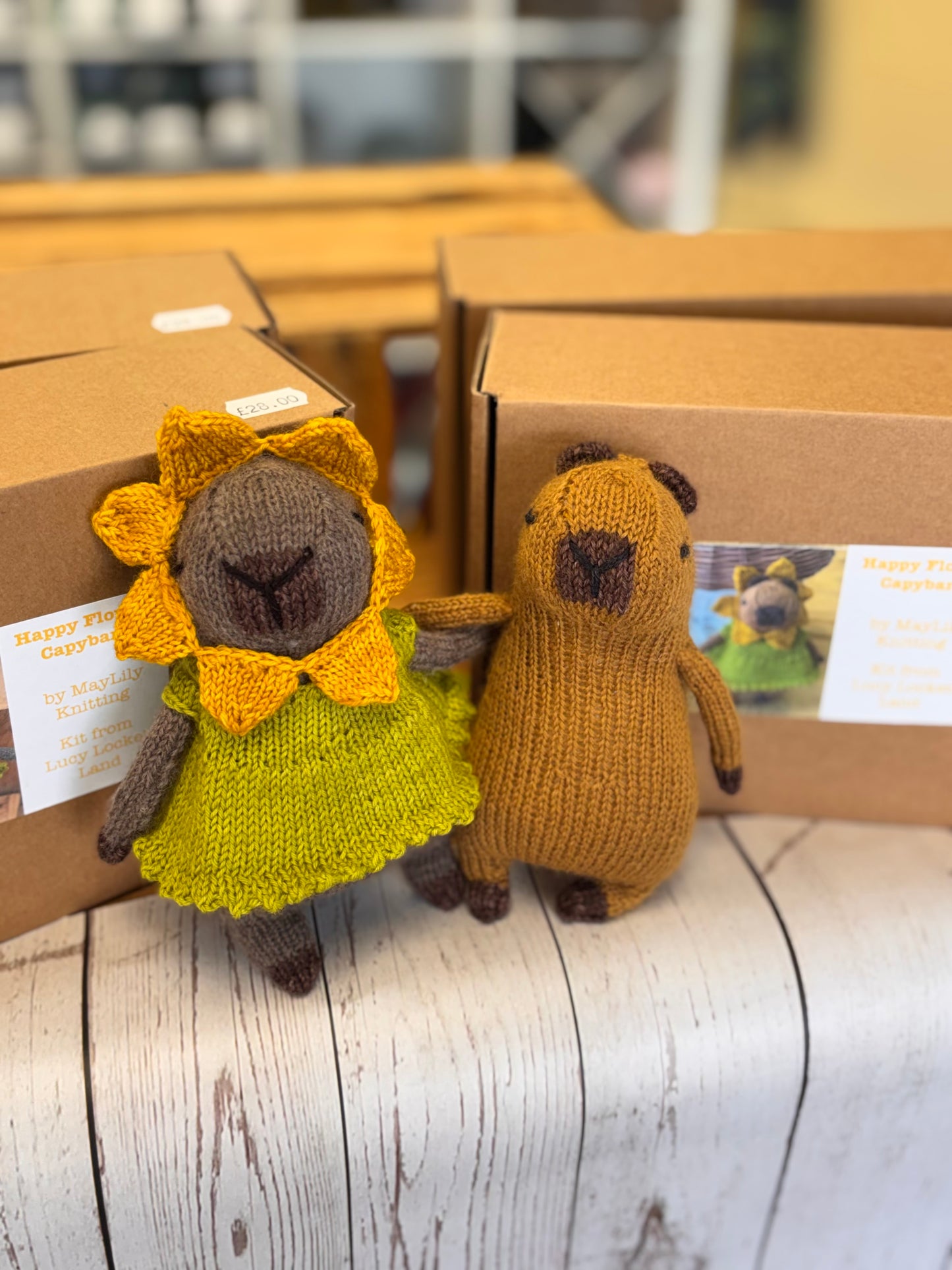 ***NEW*** Happy Flower Capybara knitting kit