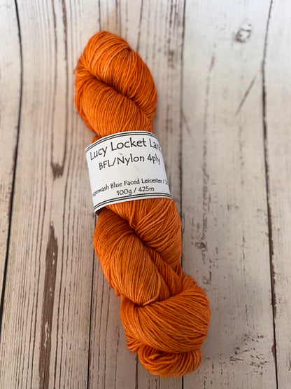 Locket's Hand Dyed 4ply BFL/Nylon Sock Yarn