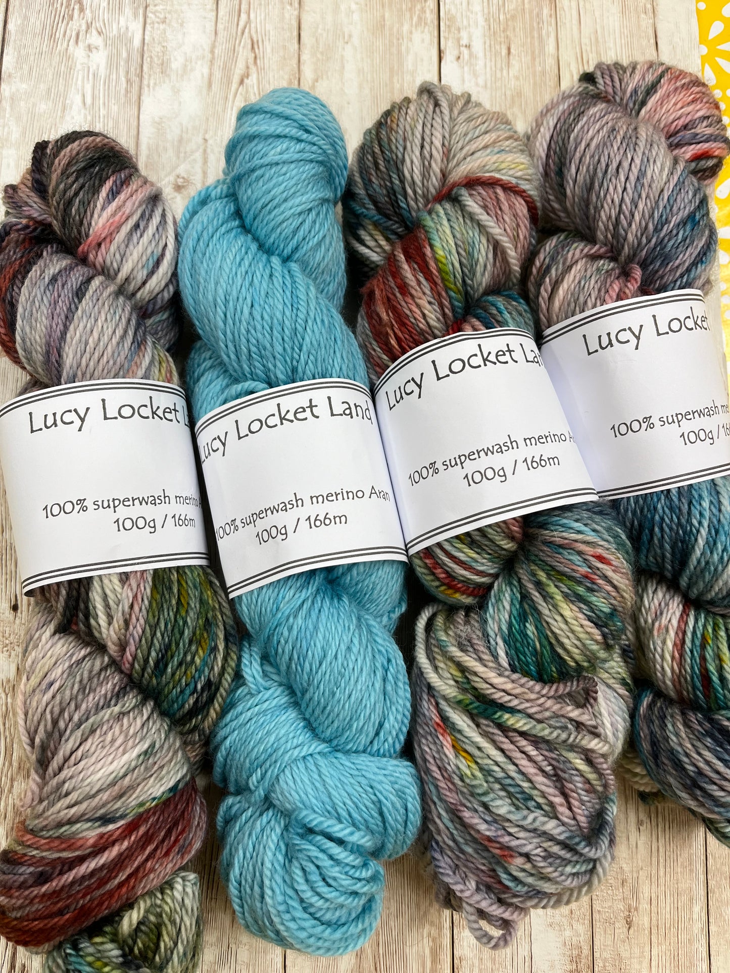 Locket's Bookshelf Collection Hand Dyed ARAN 100% Merino