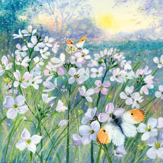 Greetings Card - Orange Tip Butterflies