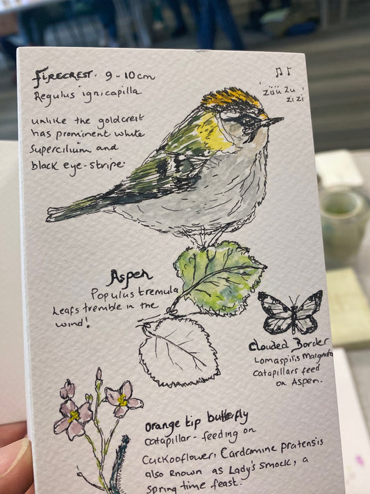 1 **NEW** Create A Nature Journal watercolour workshop with Steve Pardue - 10.30-1.30 Saturday 31st January