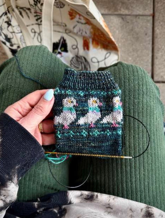Fancy Pigeon Socks Yarn set