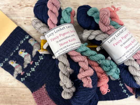 Fancy Pigeon Socks Yarn set