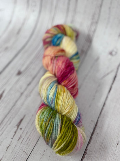 Locket's Bookshelf Collection Hand Dyed DK 100% Merino