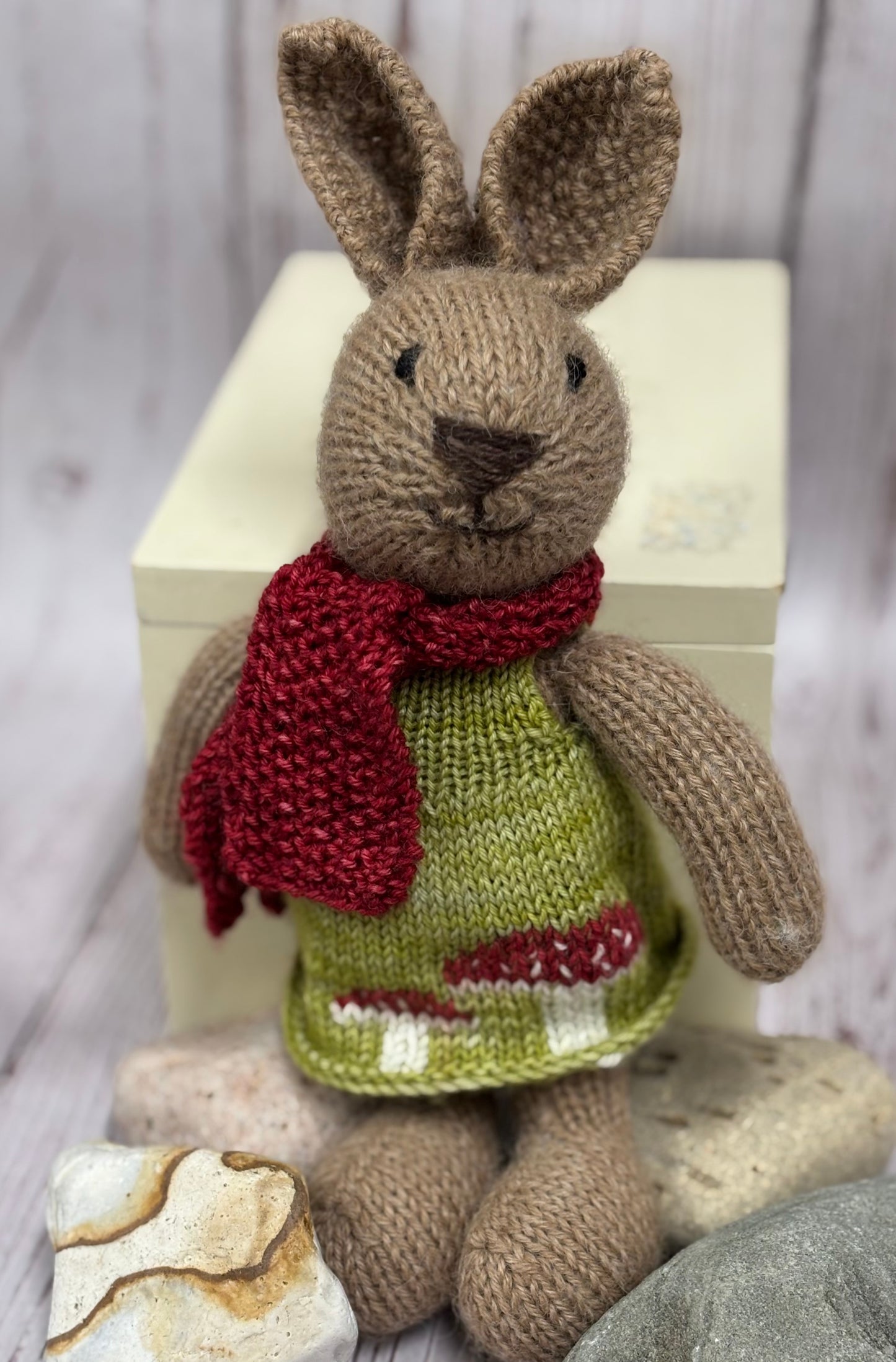 Little Cotton Rabbits Kit - Special Bunny in a Toadstool Dress
