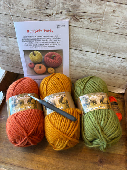 Giant Pumpkin Party Kit with Chunky Merino