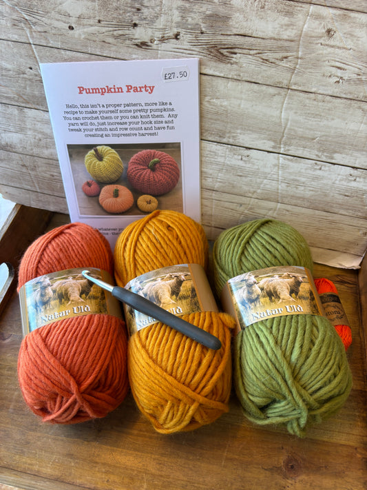 Giant Pumpkin Party Kit with Chunky Merino