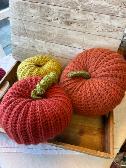 Giant Pumpkin Party Kit with Chunky Merino