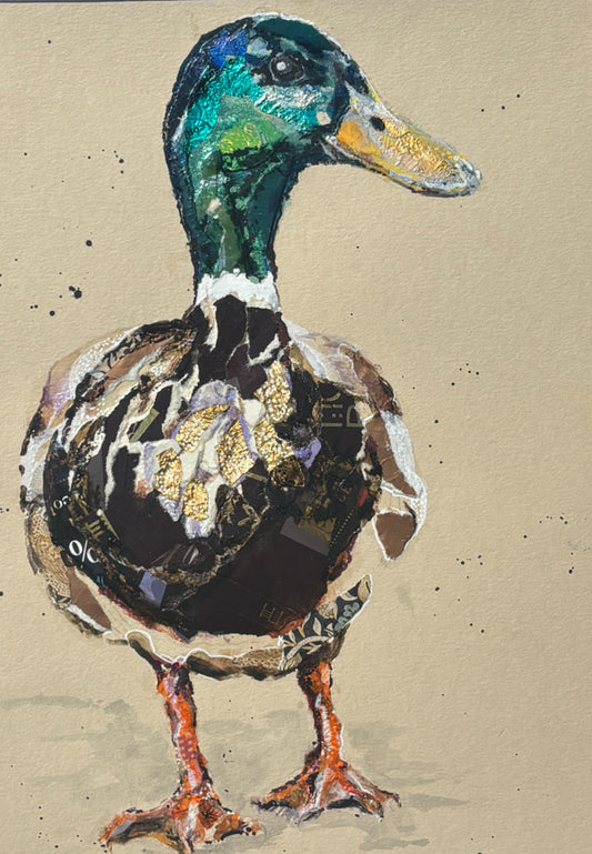 Watercolour/Collage Duck All Day Guest Workshop with Sam Folcarelli -  Saturday 7th June 10-4pm