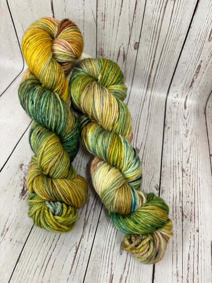 Locket's Bookshelf Collection Hand Dyed DK 100% Merino