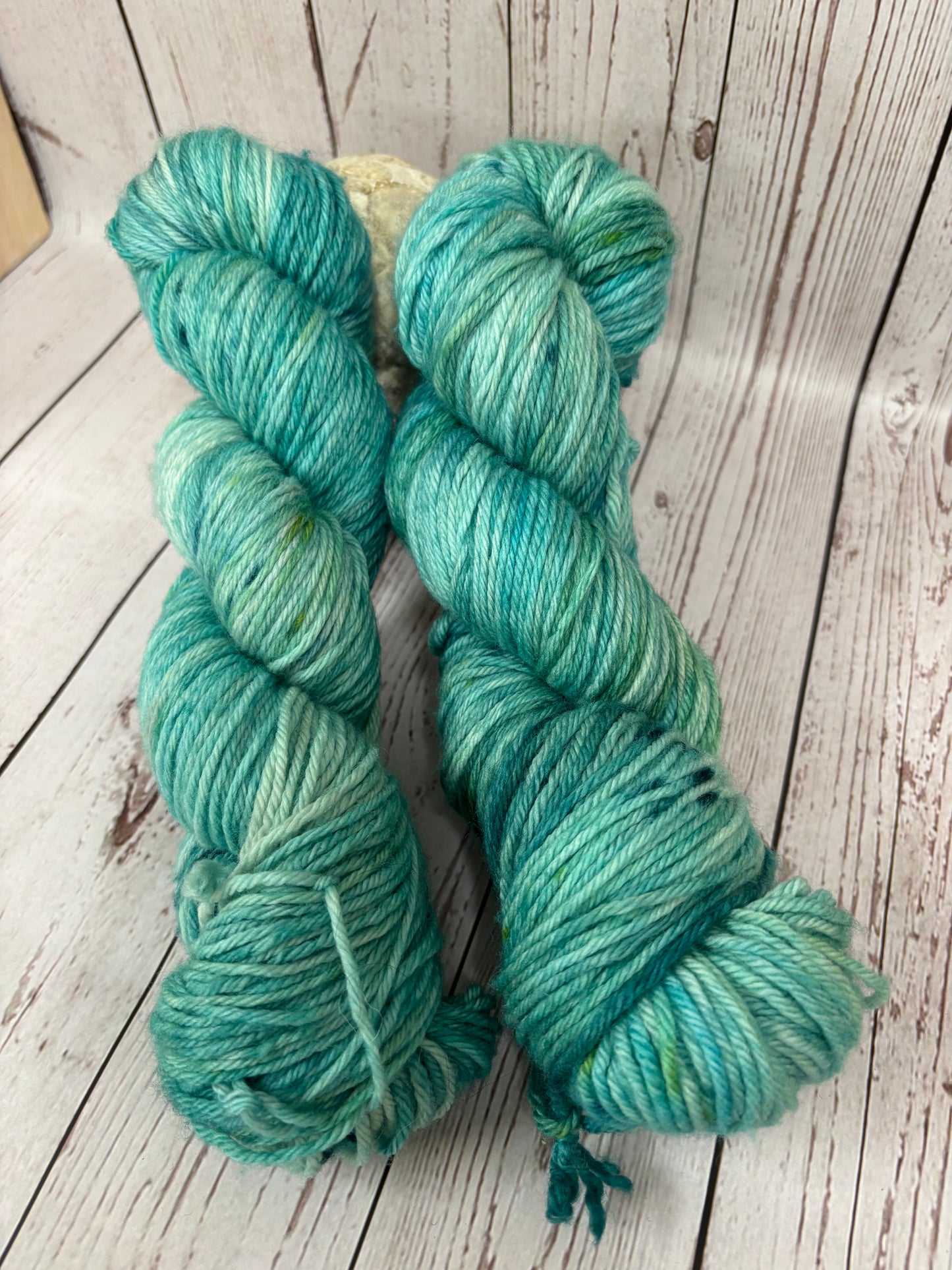 Locket's Bookshelf Collection Hand Dyed DK 100% Merino