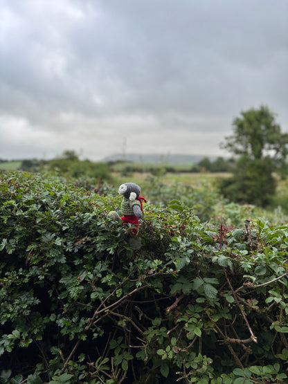 Special Wainwright the Hiking Herdy sheep kit