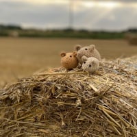 Locket’s Harvest Mice crochet kit