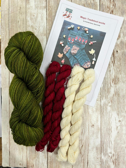 Magic Toadstool Sock Kit